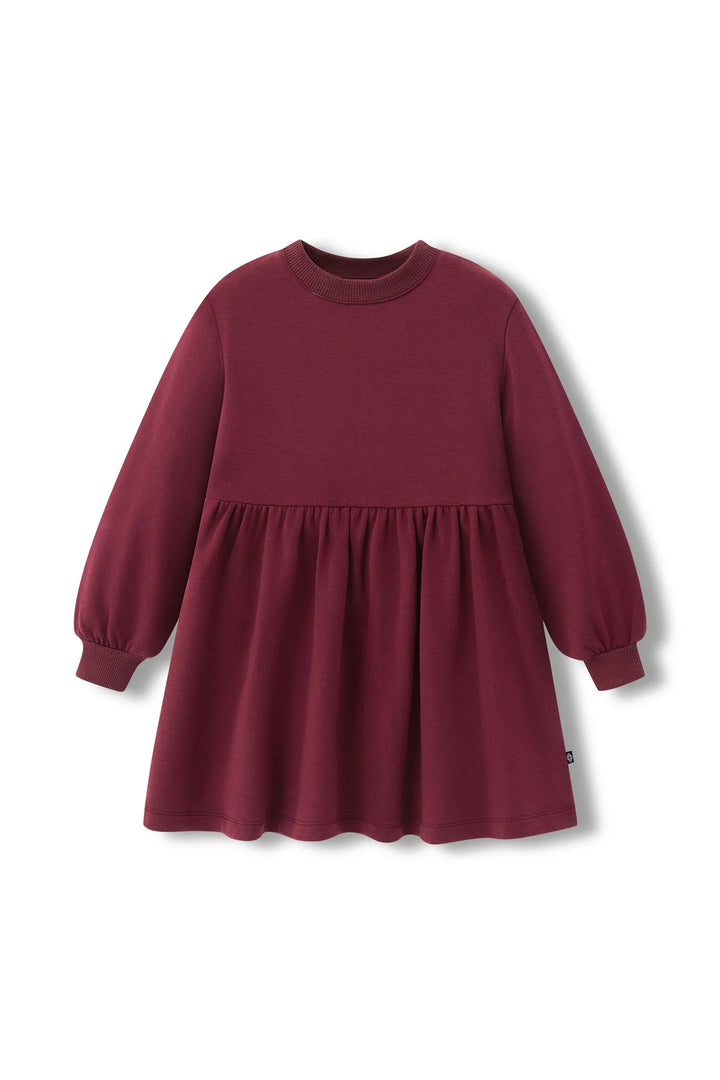 Kyte Baby Long Sleeve Skater Dress - Burgundy