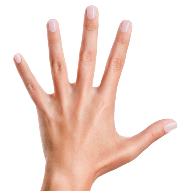 Piggy Paint Nail Polish - Base Coat and Sealer