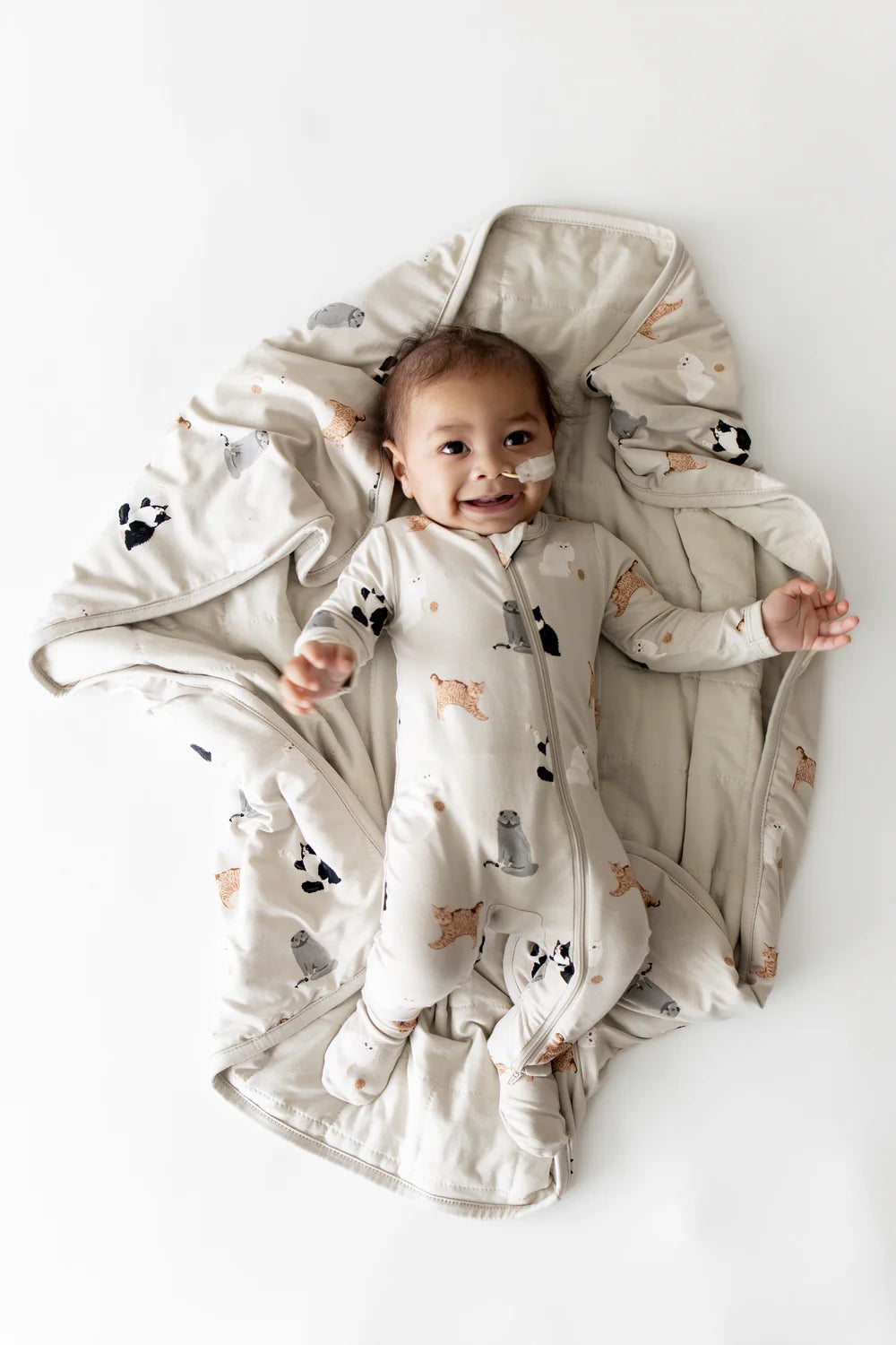 Kyte Baby Baby Blanket - Fluffy Cat