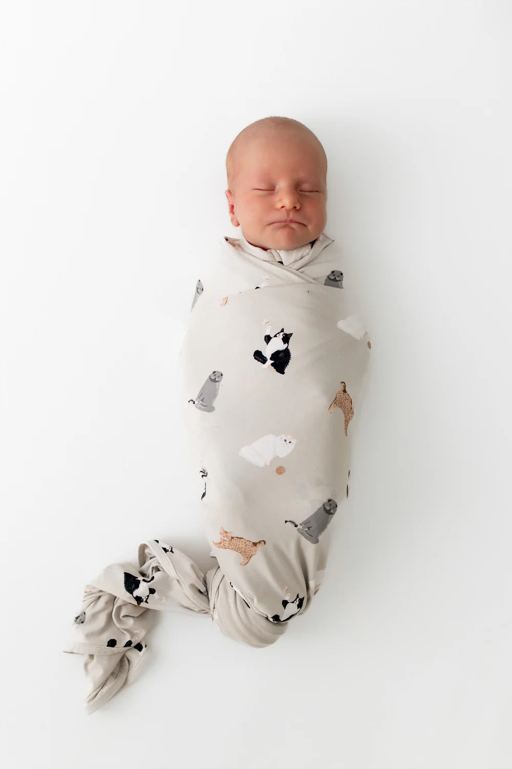 Kyte Baby Swaddle Blanket - Fluffy Cat